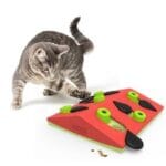 Le beau Melon Madness pour chats