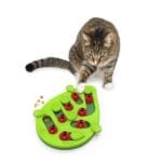 Le Buggin Out pour chats est chez Heidi