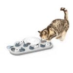 Le Rainy day puzzle pour chats