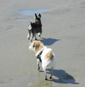 Jack et Heidi en vacances !