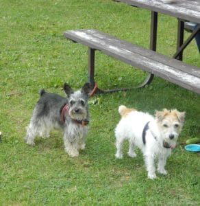 Jack et Heidi en camping