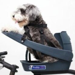 Équipement Sportifs