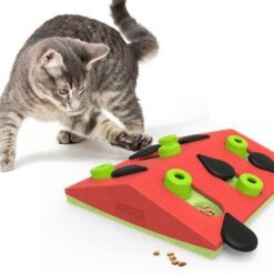 Jouets pour chats