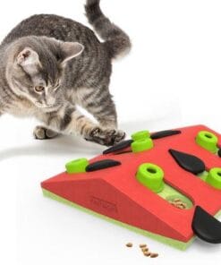 Jouets pour chats