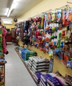 Litière et articles connexes