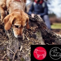 5 Étoiles Nourriture crue pour chien - Entretien Bœuf et Saumon, 10 lb