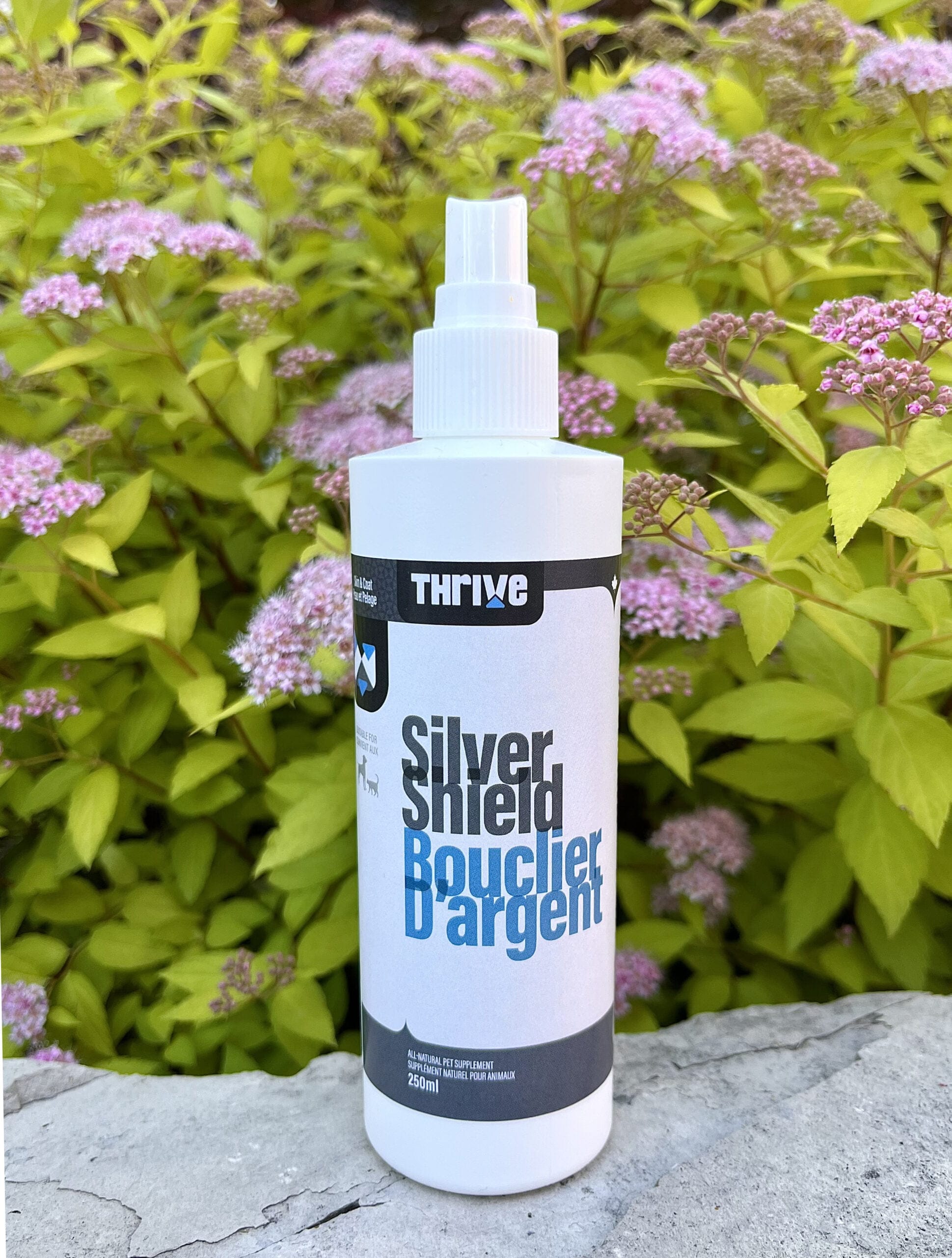 Thrive Bouclier d'argent (Argent Colloïdal), 250 ml