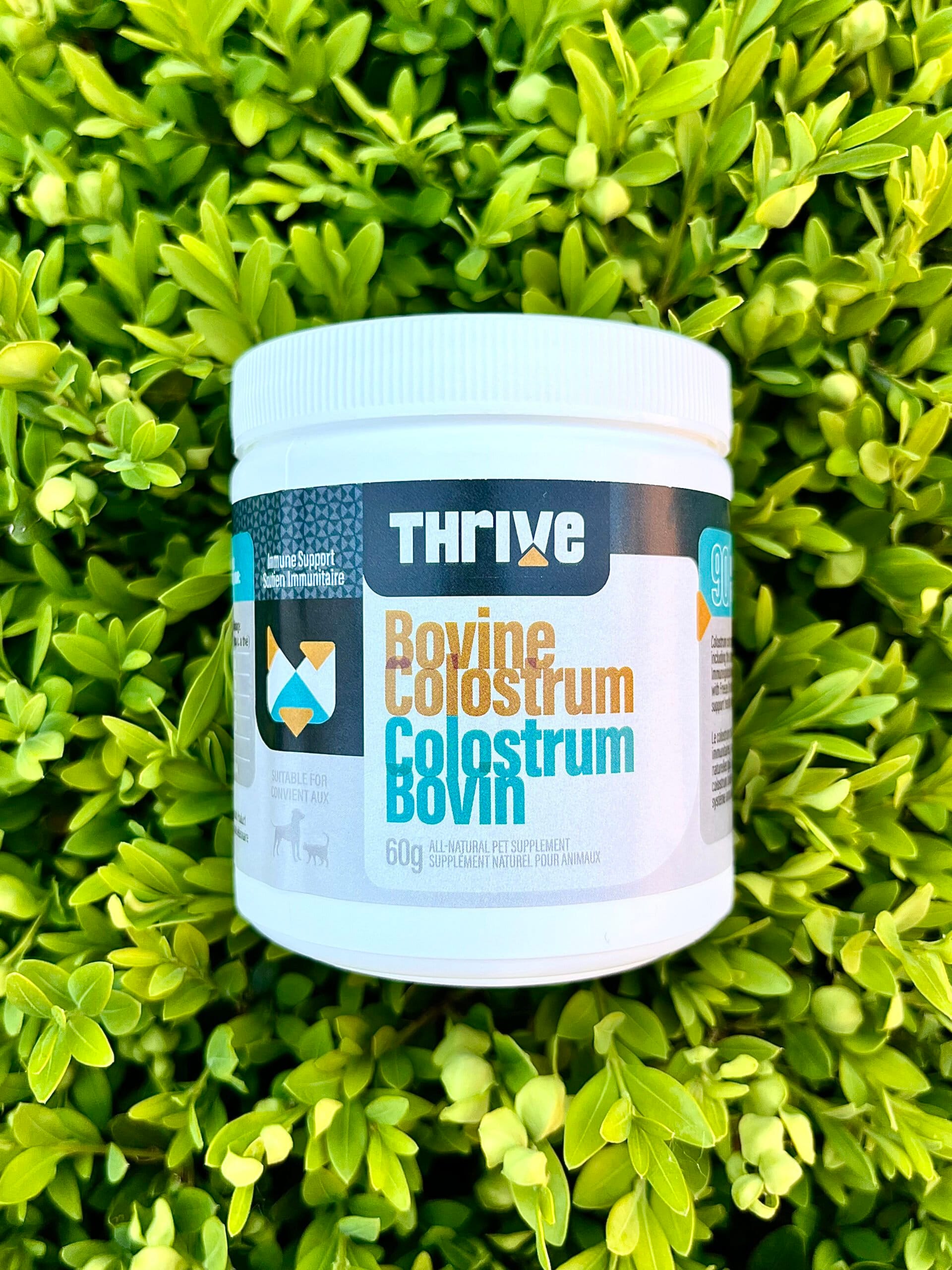 Thrive poudre de Colostrum bovin, 60 g