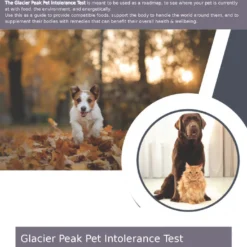 Alternative view of Glacier Peak Holistics – Test de Stress Nourriture/Environnement