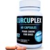 Patte d'eau Bio - Curcuplex