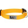 rcpets, Collier Primary Kitty pour chats