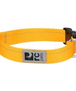 rcpets, Collier Primary Kitty pour chats