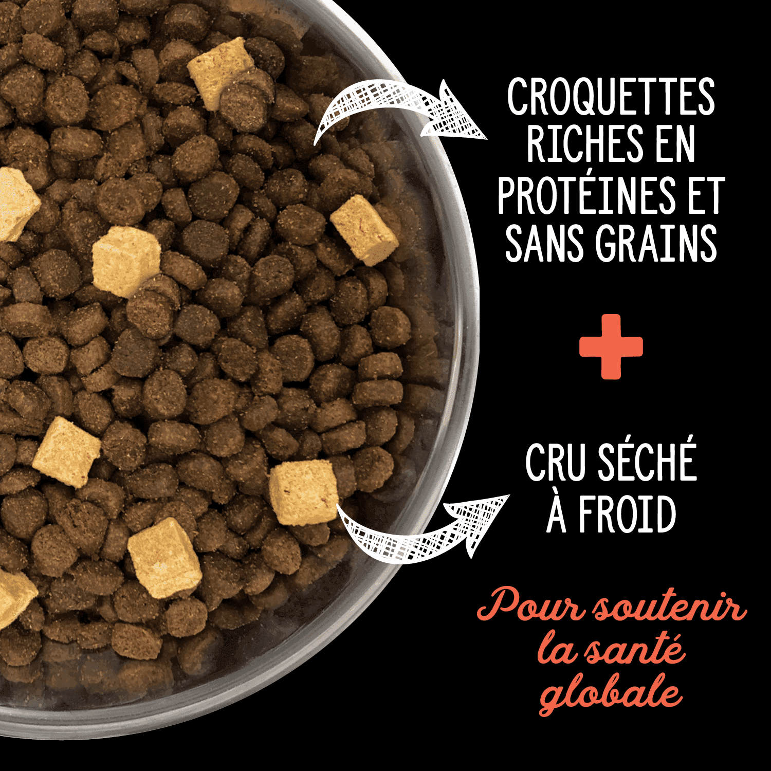 Nutrience SubZERO Ingrédients limités – Dinde et citrouilles pour Chat – Image 4