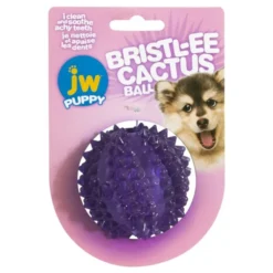 JW pet Balle Bristl-ee Cactus pour chiots