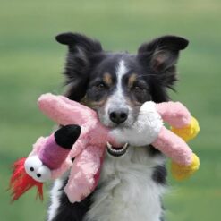 Kong Knots Flamand rose, M/L