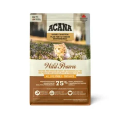 Pour Chats