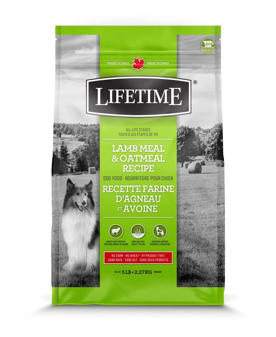 Lifetime Agneau et Avoine pour Chien