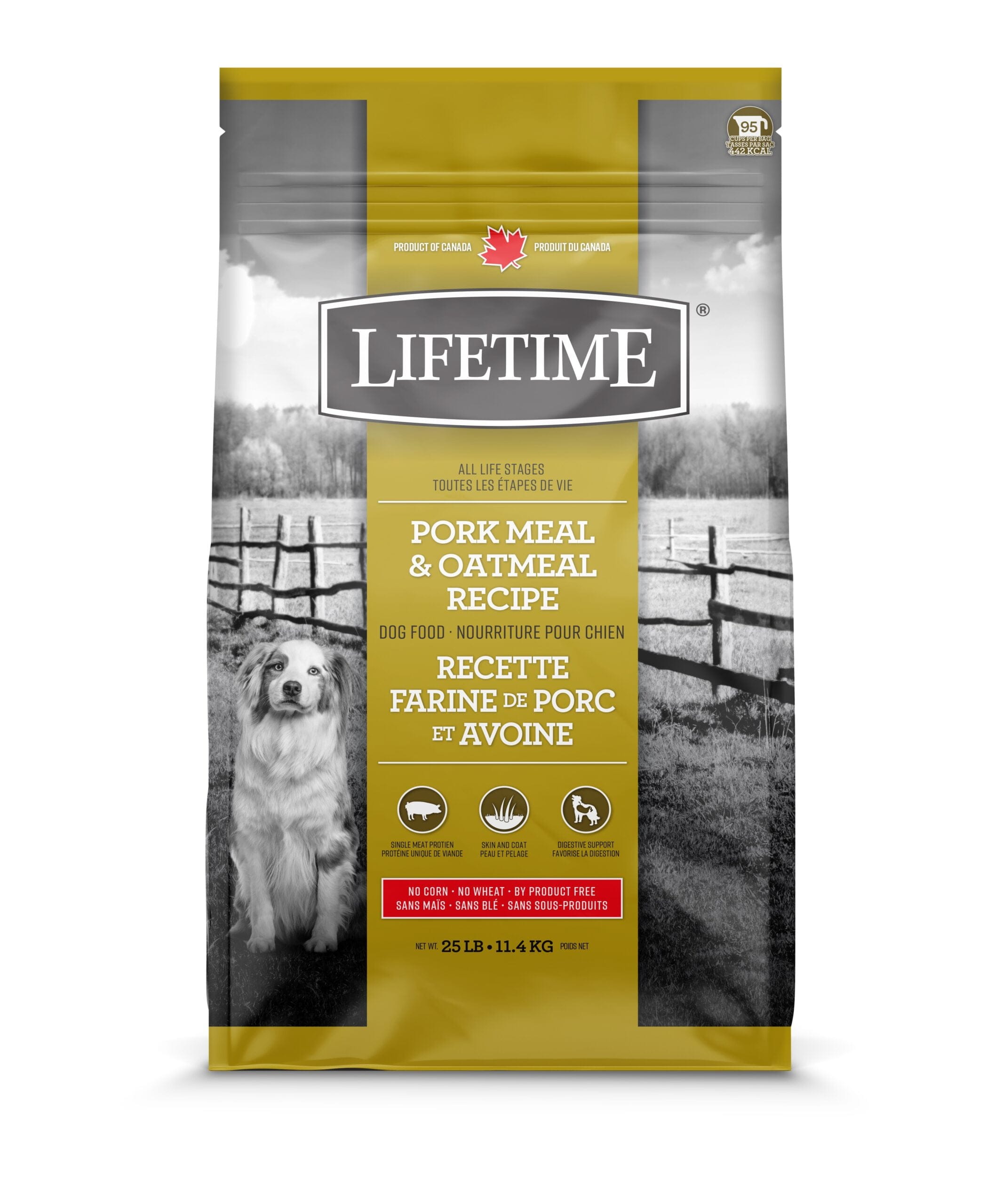 Lifetime Porc et Avoine pour Chien