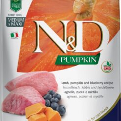 Pumpkin