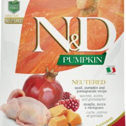 Pumpkin