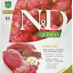 Quinoa