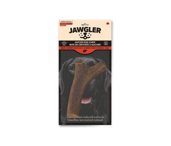 Jawgler Bois de Cervidés Complet pour Chien – Jambon fumé à l'érable