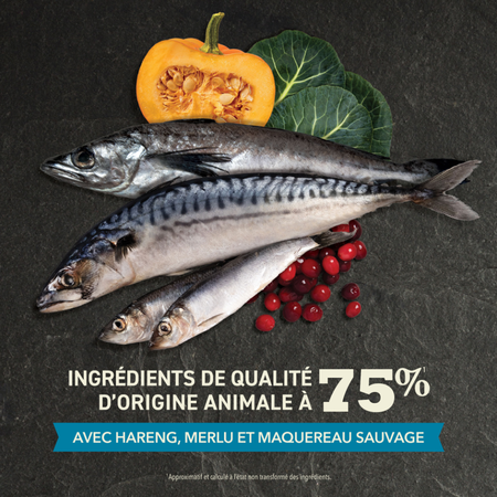 Acana Pacifica pour Chat – Image 3