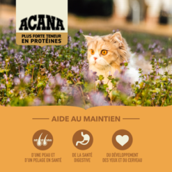 Acana Wild Prairie pour Chat – Image 3