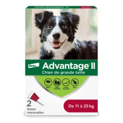 Advantage II Protection pour Chien de 11 kg à 25 kg