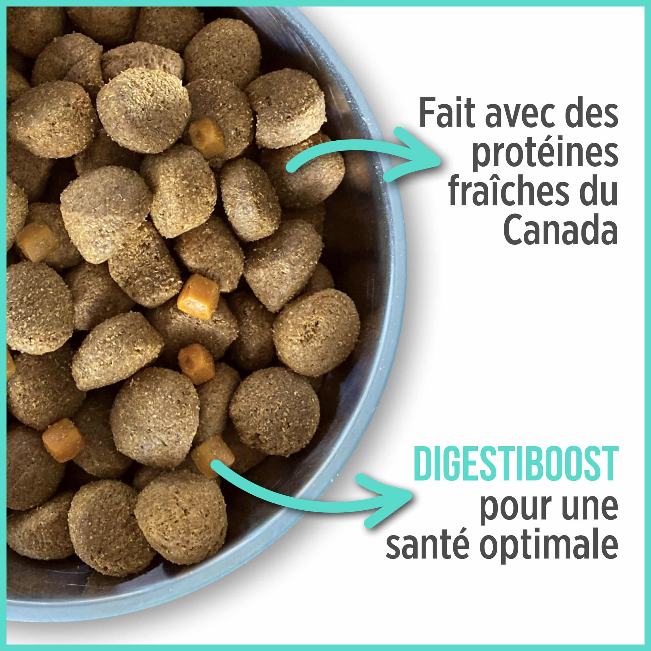 Nutrience CARE+ Nourriture sèche pour Chien – Soins dentaires – Image 4
