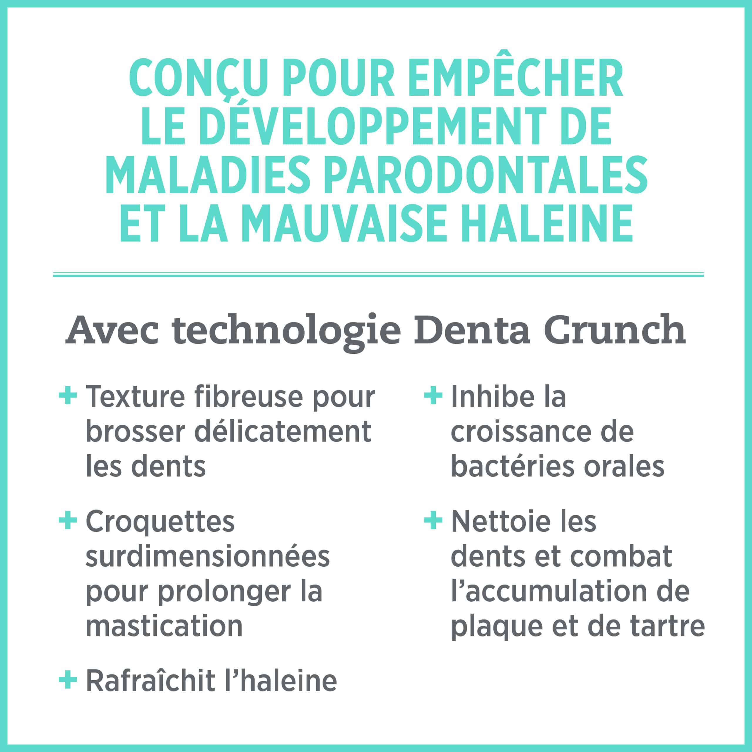 Nutrience CARE+ Nourriture sèche pour Chien – Soins dentaires – Image 5