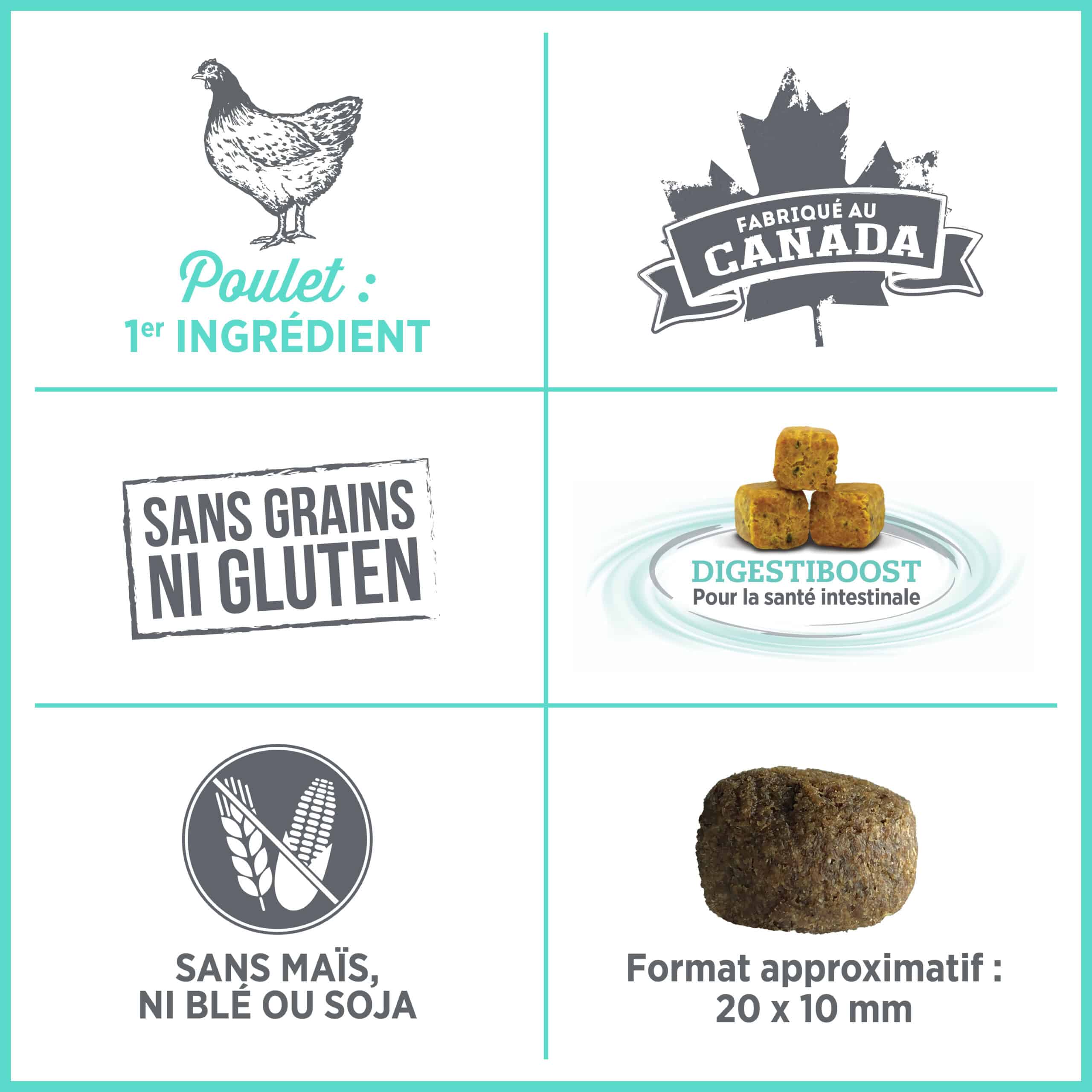Nutrience CARE+ Nourriture sèche pour Chien – Soins dentaires – Image 6
