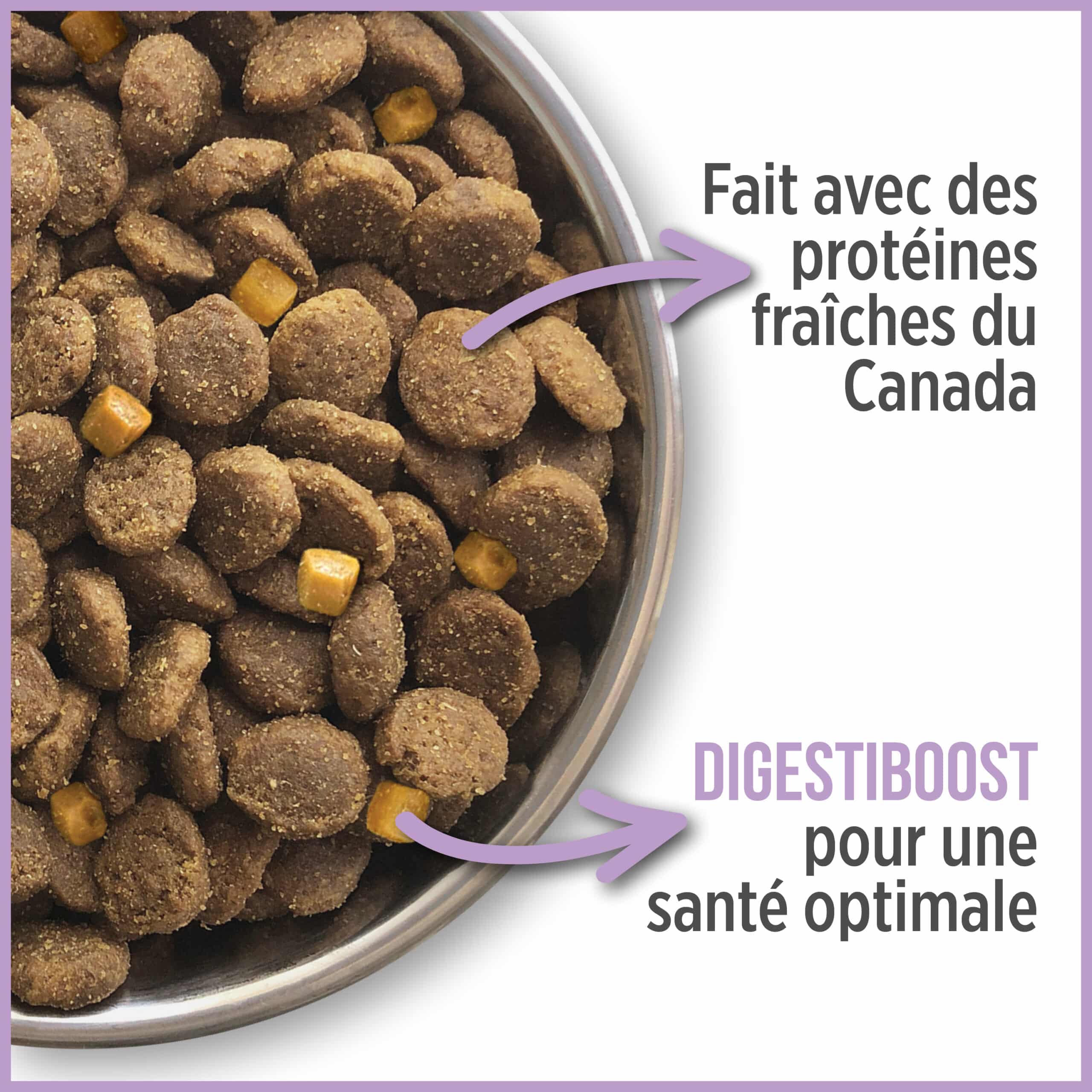Nutrience CARE+ Nourriture sèche pour Chien – Contrôle du poids – Image 4