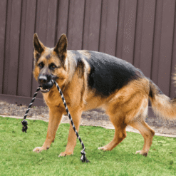 Kong Balle Extreme avec corde, Grande – Image 3