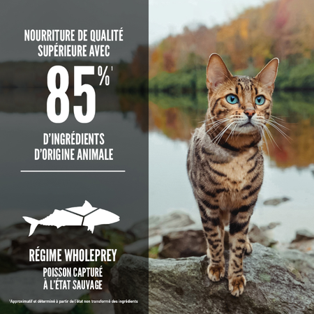 Orijen 6 Poissons pour Chat – Image 3