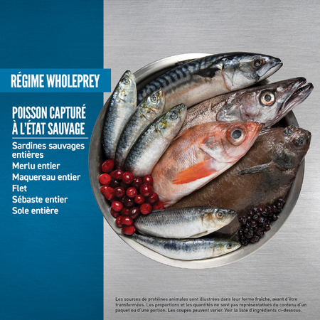 Orijen 6 Poissons pour Chat – Image 5