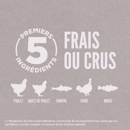 Orijen Fit & Trim pour Chat – Image 4