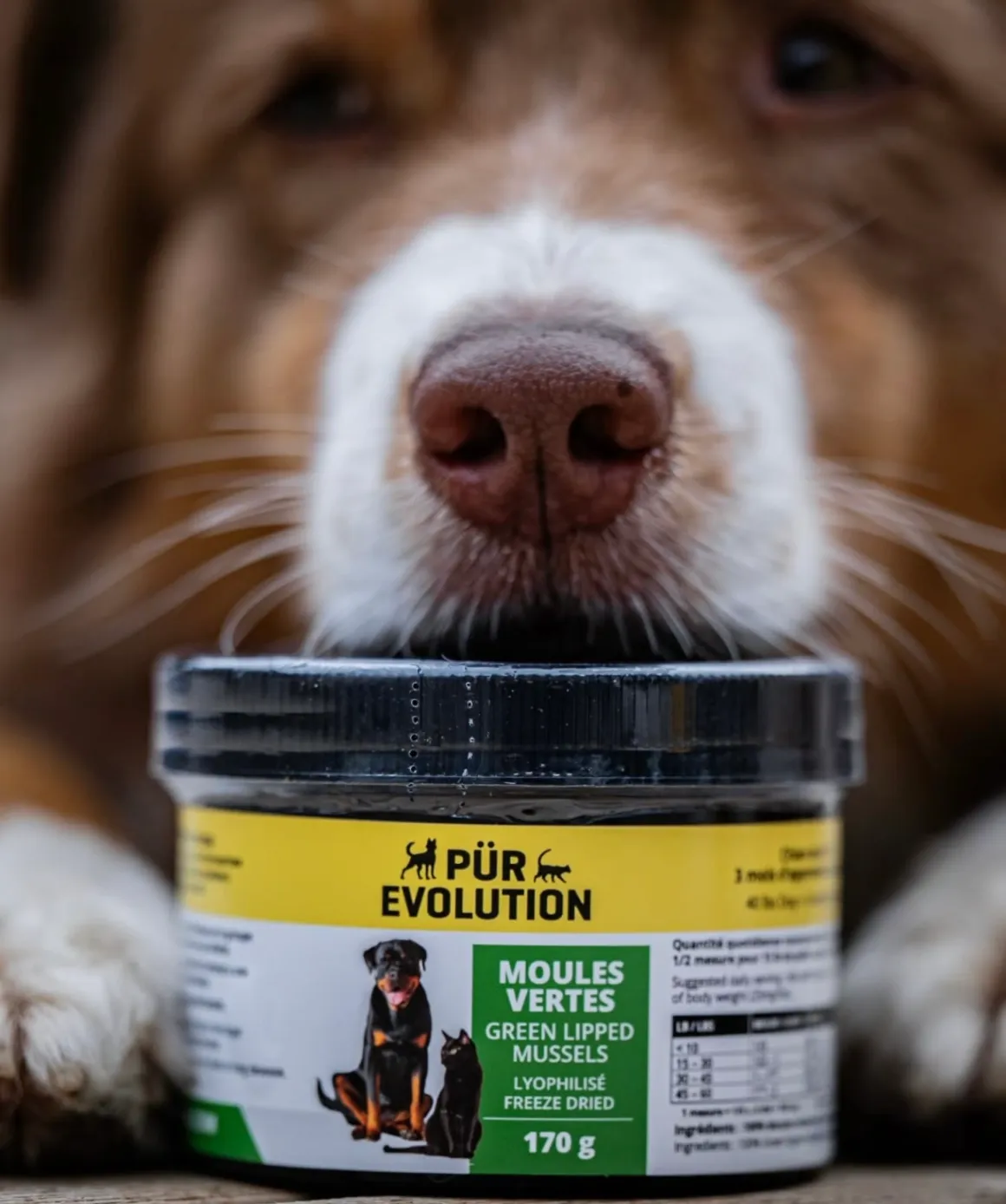 Pur Evolution Moules vertes pour Chien et Chat – Image 3
