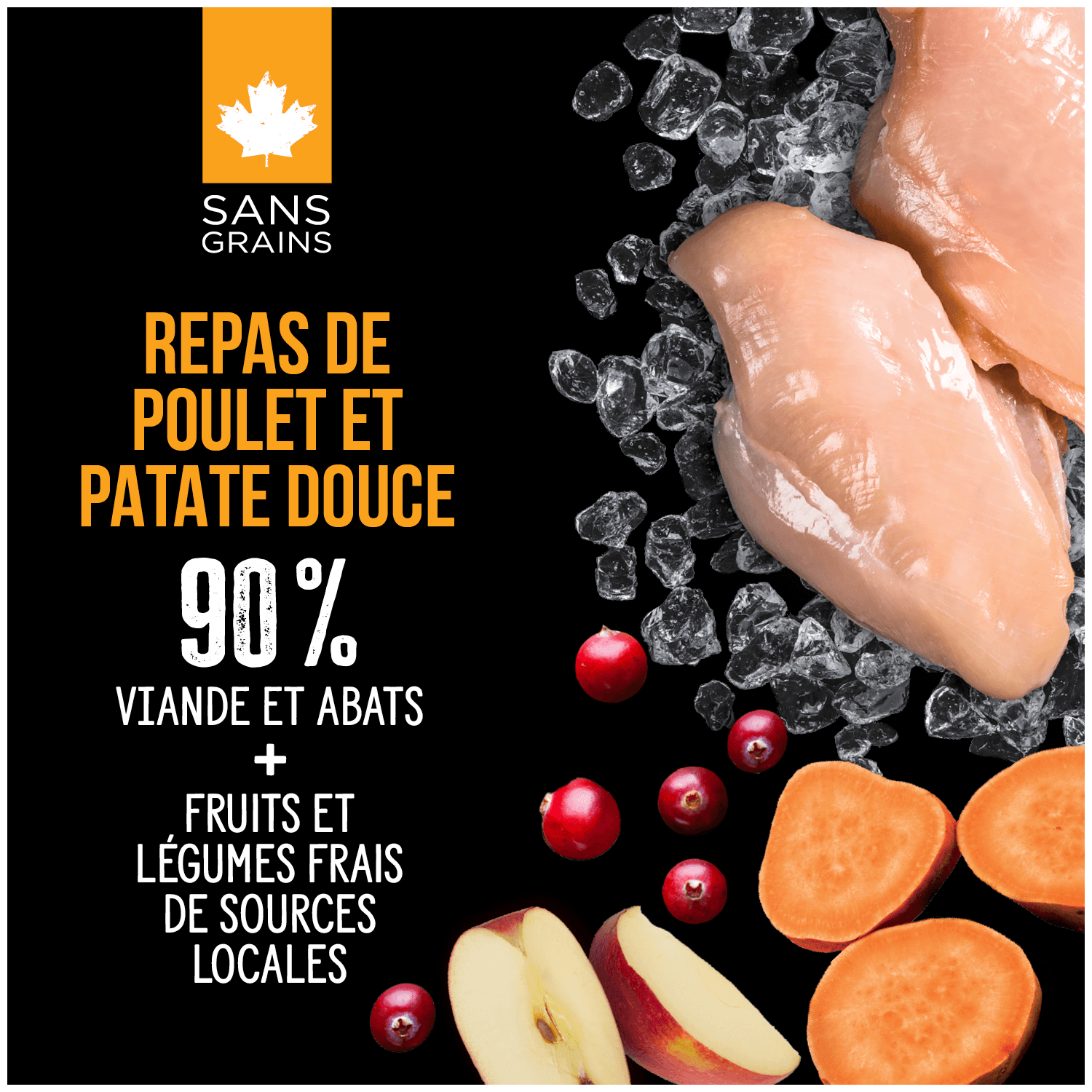 Nutrience SubZERO Cru séché à froid au Poulet pour Chien – Image 3