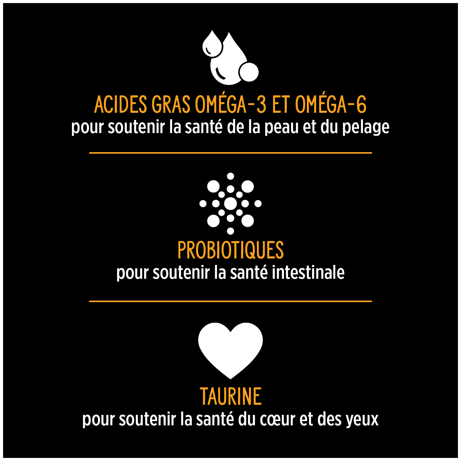 Nutrience SubZERO Cru séché à froid au Poulet pour Chien – Image 4
