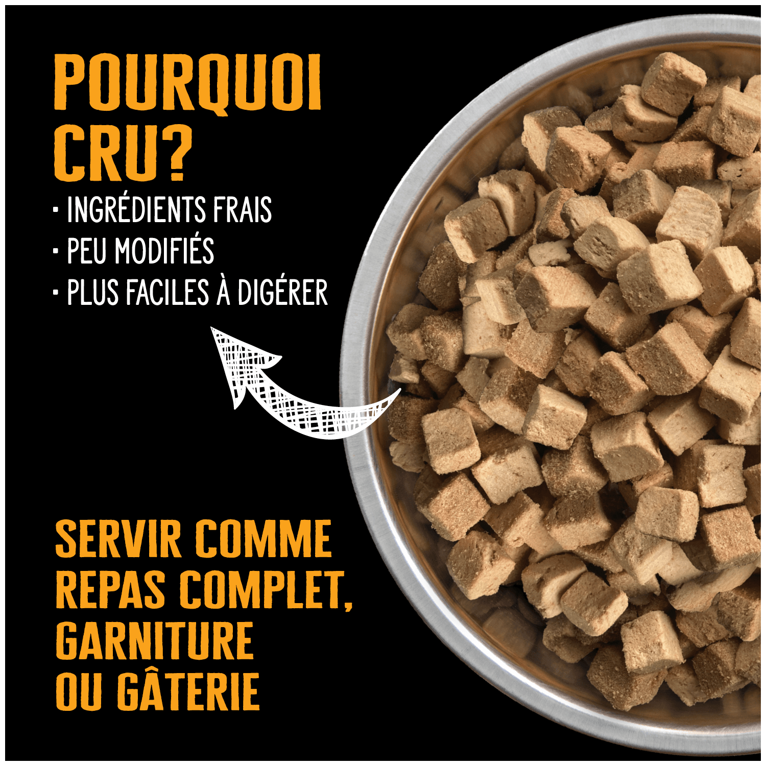 Nutrience SubZERO Cru séché à froid au Poulet pour Chien – Image 5