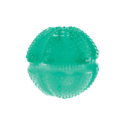 Kong Balle Dentaire Squeezz – Image 3
