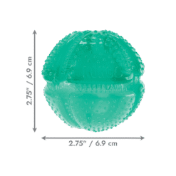 Kong Balle Dentaire Squeezz – Image 4
