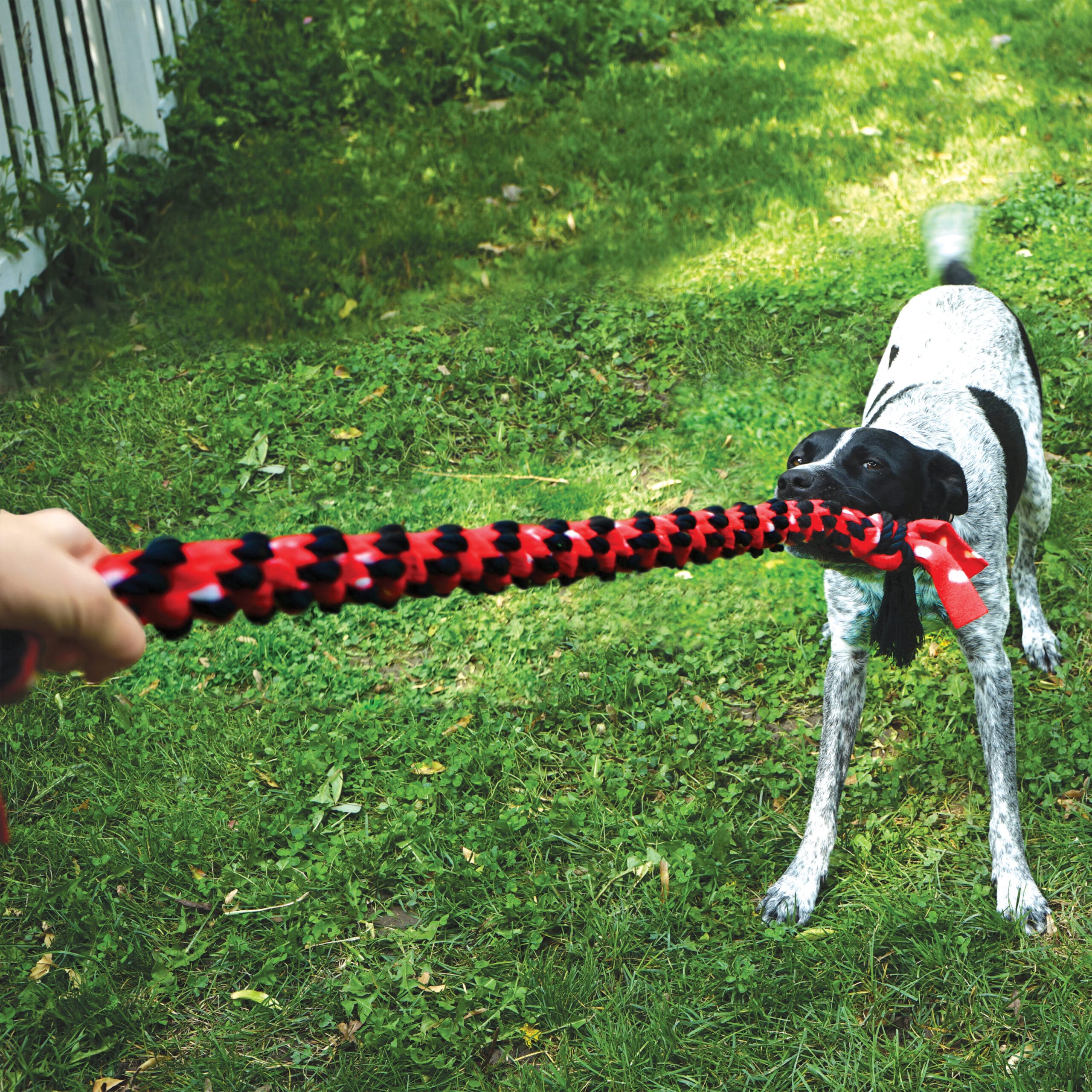 Kong Corde Signature de 20 po avec Double Nœuds – Image 2