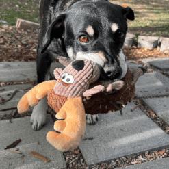 Kong Sherps Floofs L'Orignal – Image 3