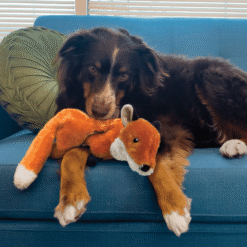 Kong Wild Renard avec moins de rembourrage – Image 3