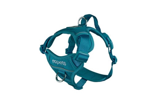 rcpets, Harnais Momentum de Contrôle – Image 4