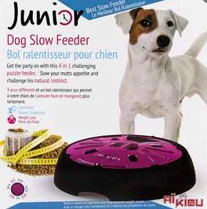 Aikiou Bol interactif Junior pour Chien – Image 3