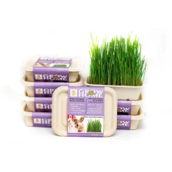 Jardin D'Herbes