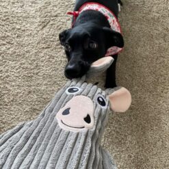 Alternative view of smartpetlove Jouet pour chien l'Âne à remplir